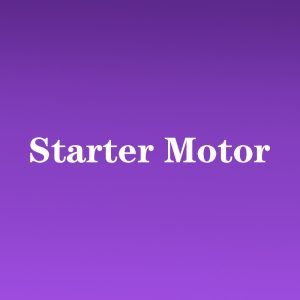 Starter Motor